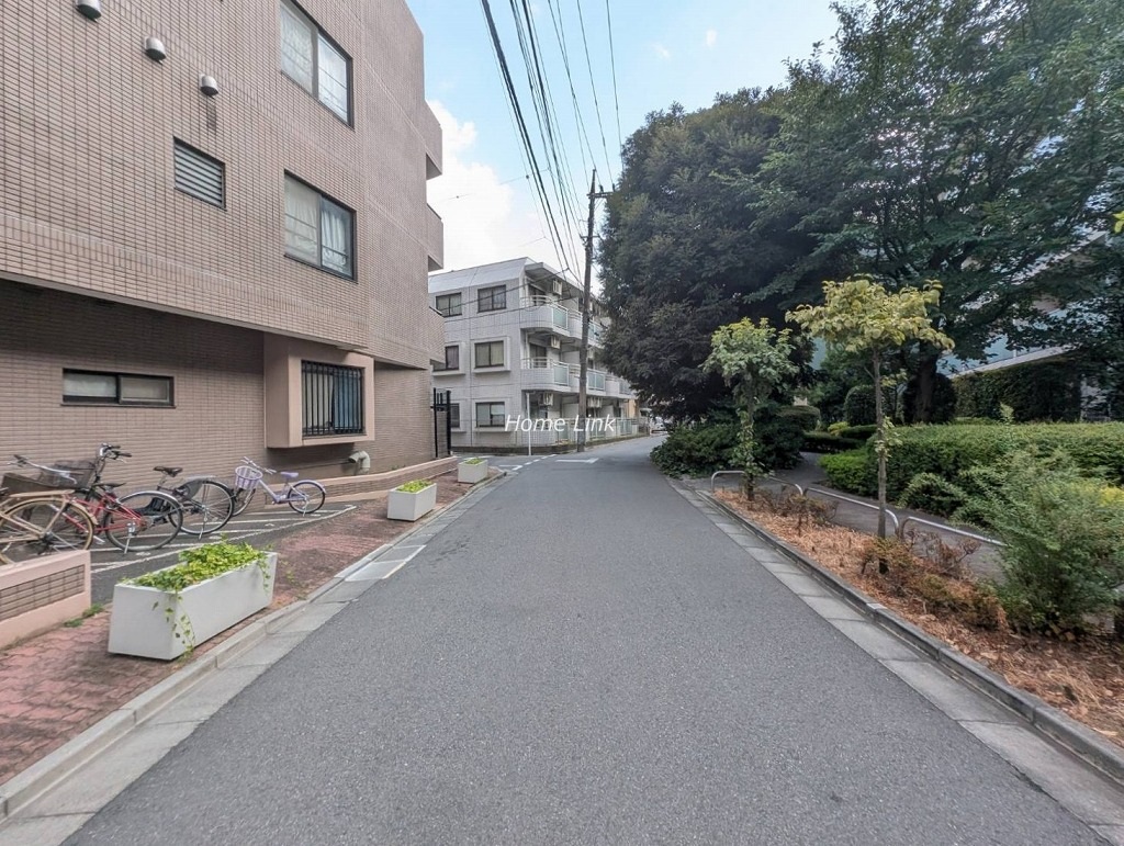 ファミール成増　南側 前面道路